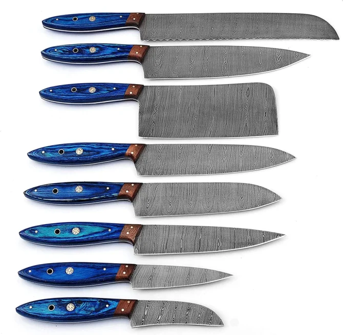 Handmade Damascus Steel Kitchen Knives Set/Chef Knife Set with Leather Roll Bag. (Blue)