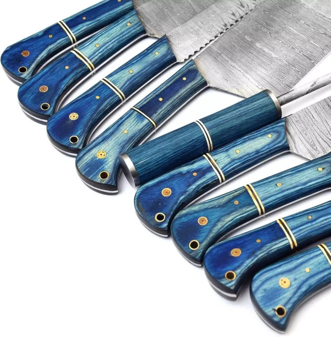 Premium Damascus Steel Chef Knife Set – 09 Pcs Professional Kitchen Knives with Blue Wood Handle & Leather Roll Bag | Butcher & Cooking Knife Set
