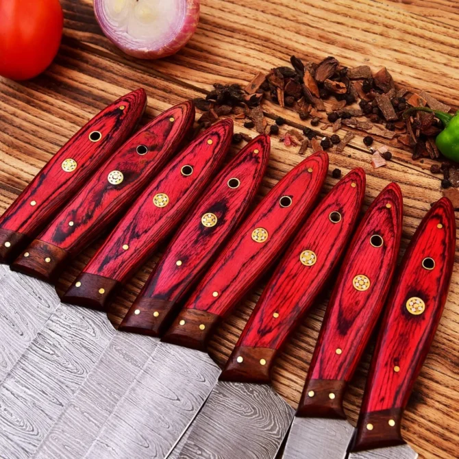 Handmade Damascus Steel Kitchen Knives Set/Chef Knife Set with Leather Roll Bag. (red)
